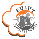 Bulut Veteriner Kliniği logosu